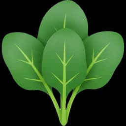 spinach