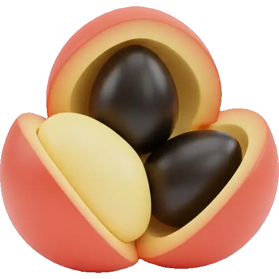 ackee