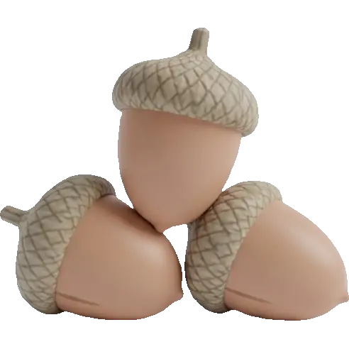 acorn nuts