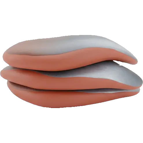 anchovy