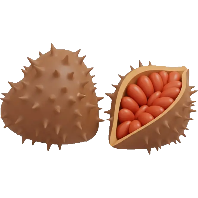 annatto