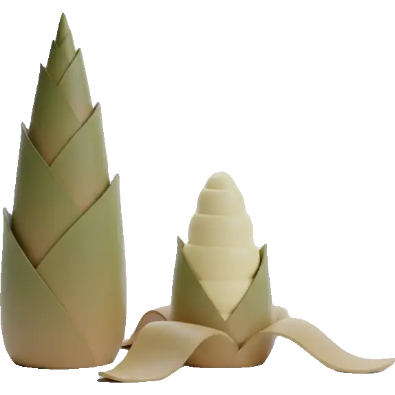 bamboo shoots