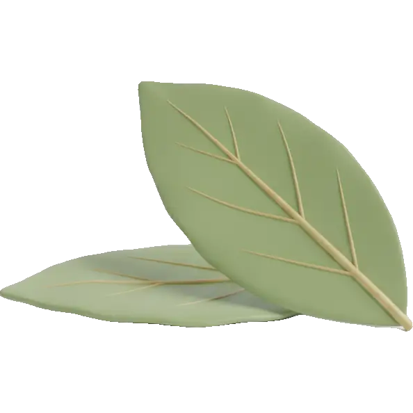 bay leaf
