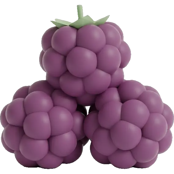 blackberry