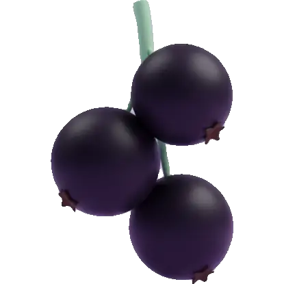 blackcurrant