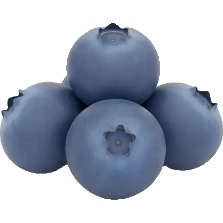 Blueberry
