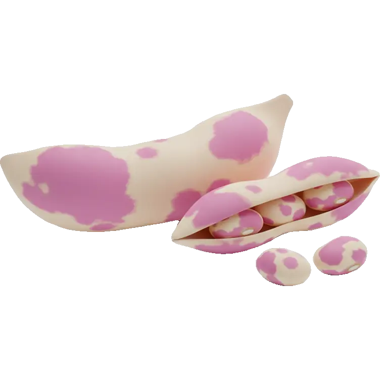 borlotti beans