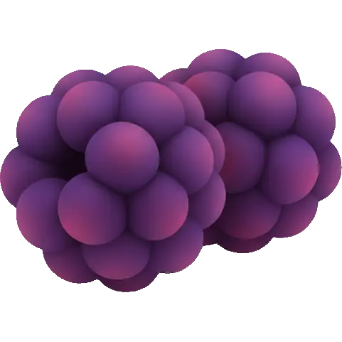 boysenberry