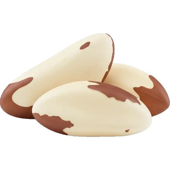 brazil nuts
