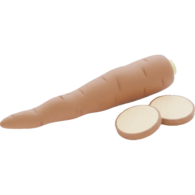 burdock root