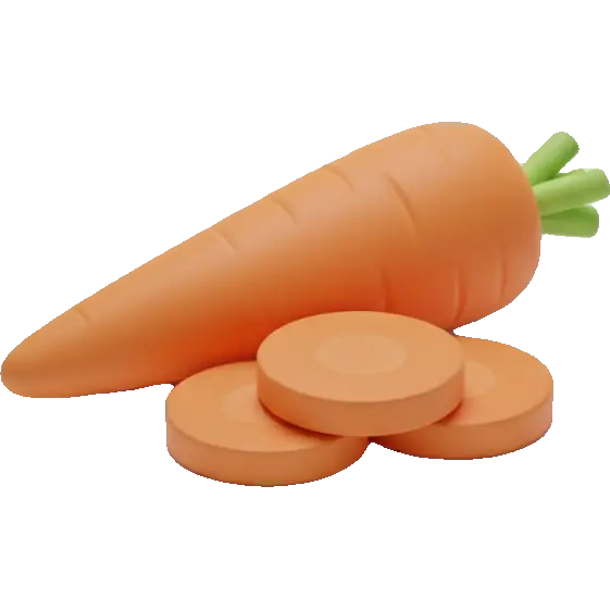carrot root
