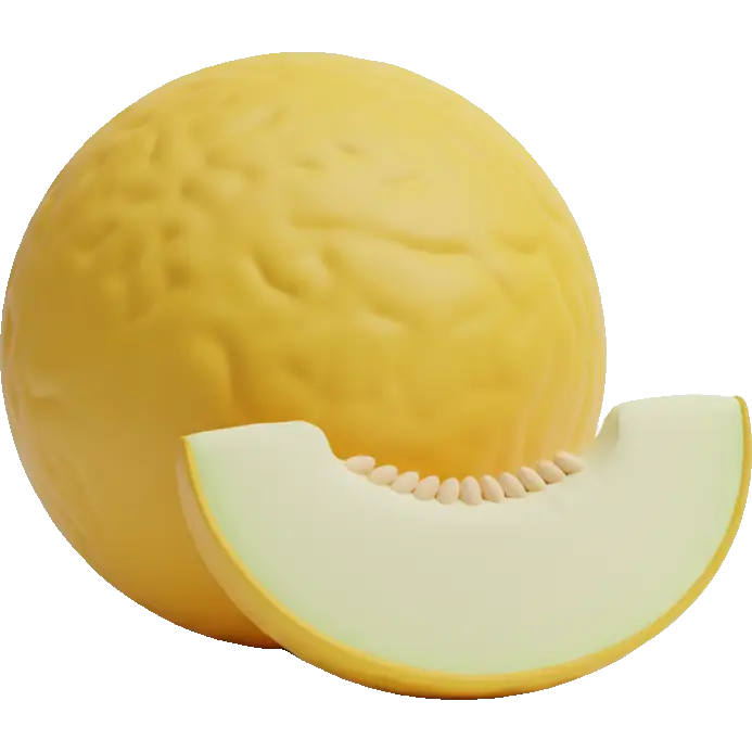 casaba melon