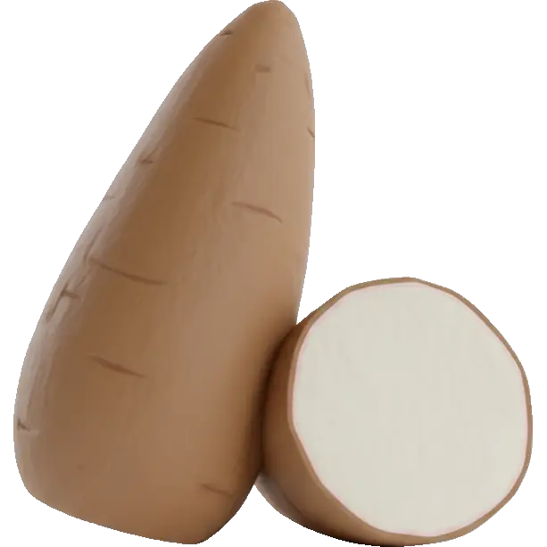 cassava