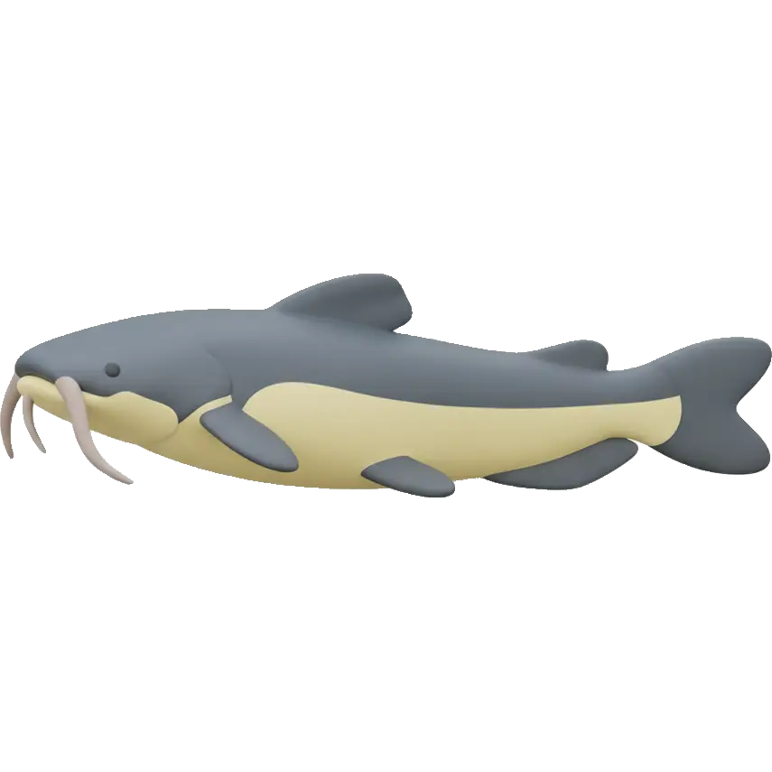catfish