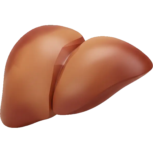 chicken liver