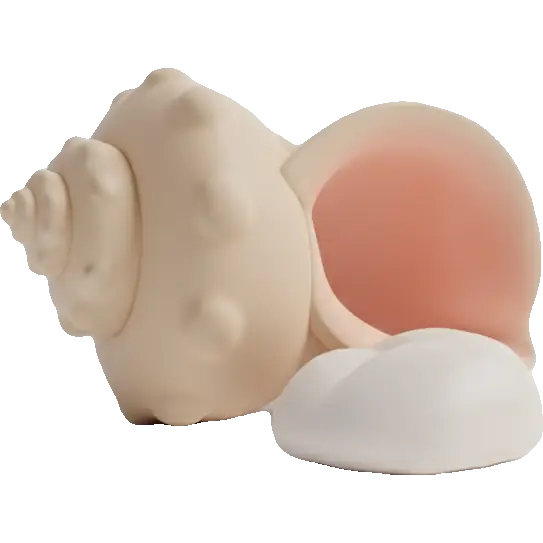 conch