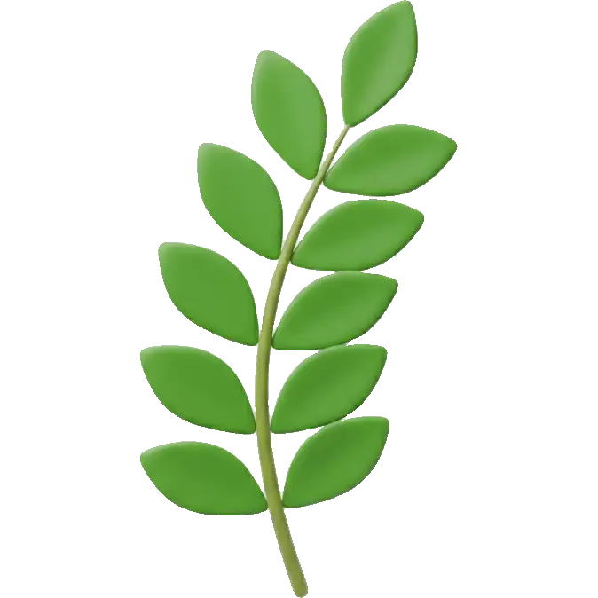 curry leaf