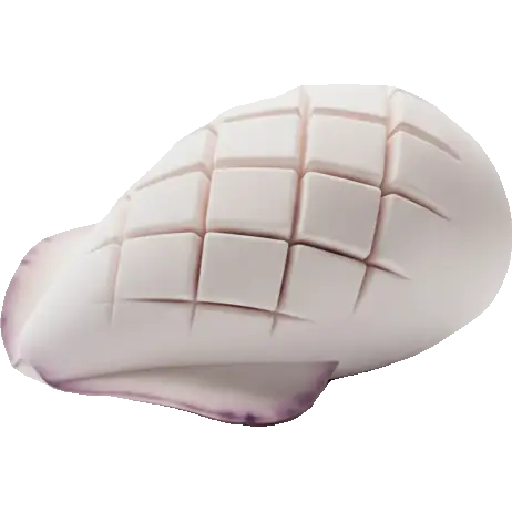 cuttlefish