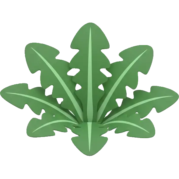 dandelion greens