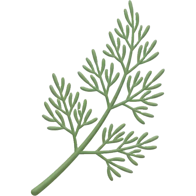dill weed