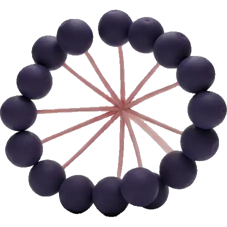 elderberry