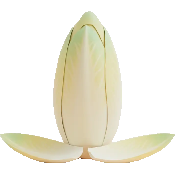 endive