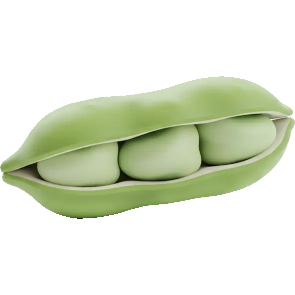 fava beans