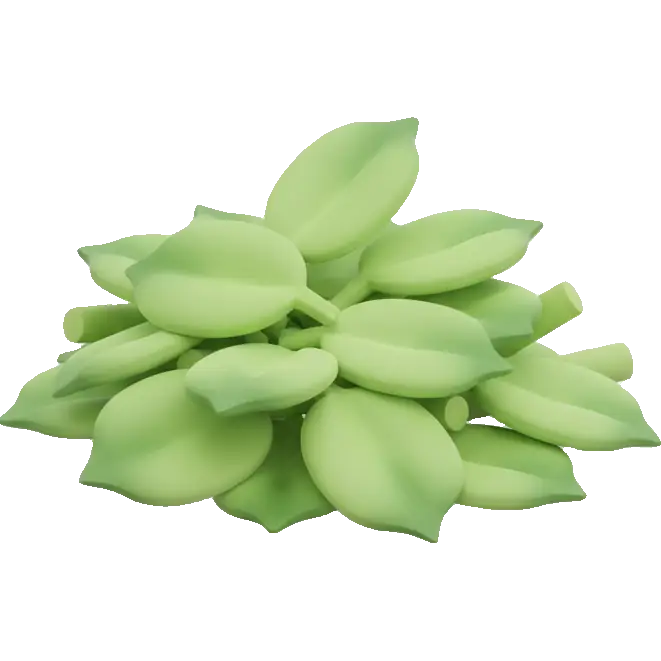 fava greens