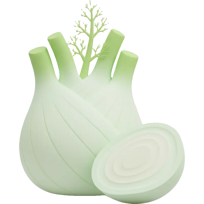 fennel bulb