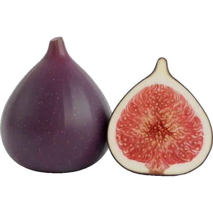 fig