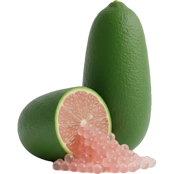 finger lime