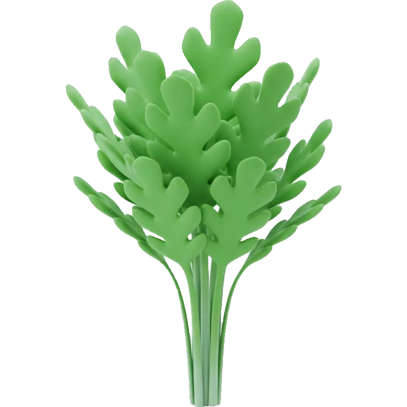 garland chrysanthemum