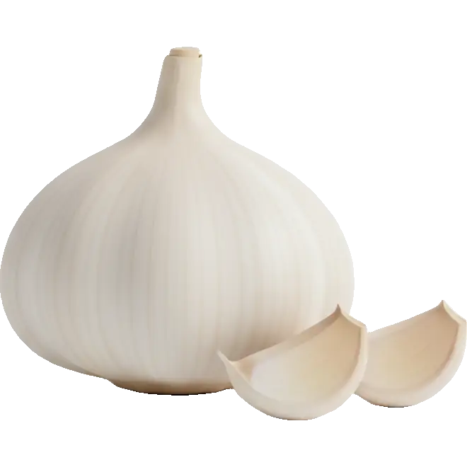 garlic