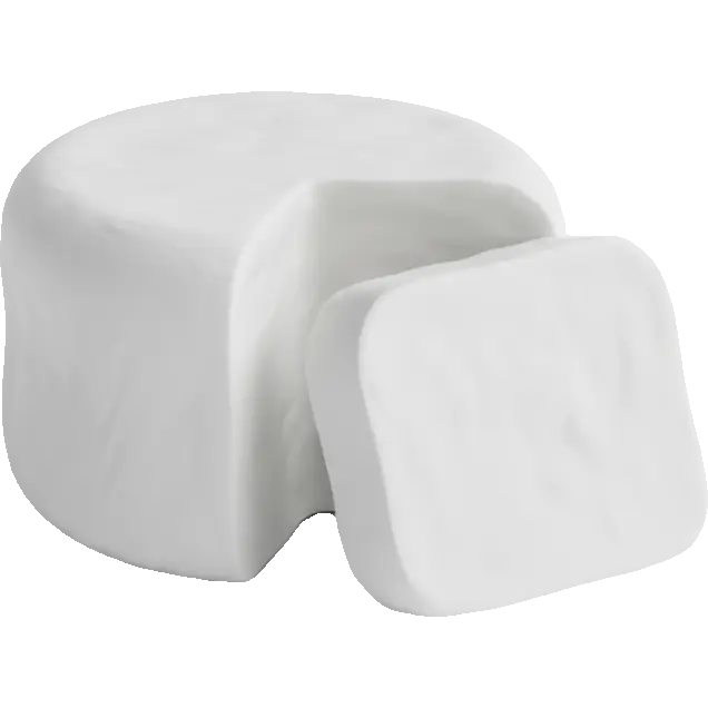 goat milk and dairy