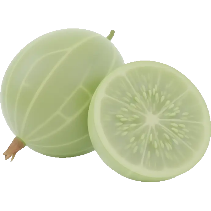 gooseberry
