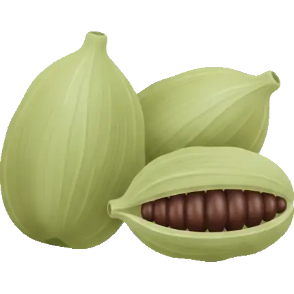 green cardamom