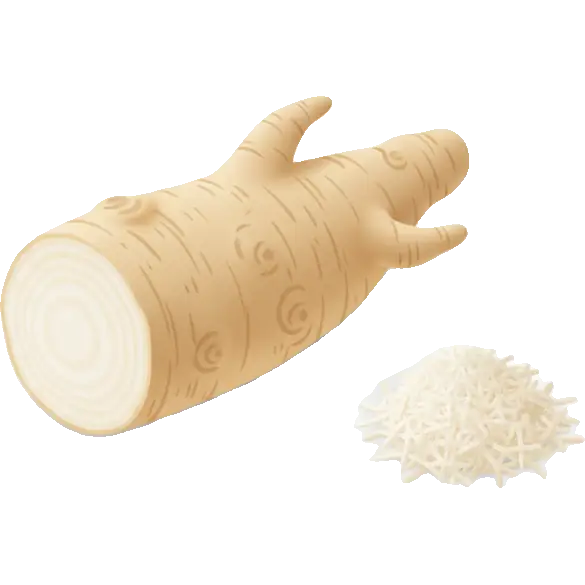 horseradish root