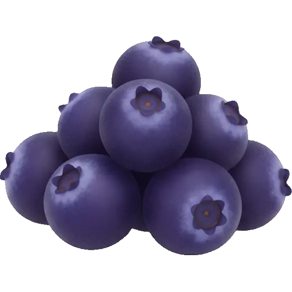 huckleberry