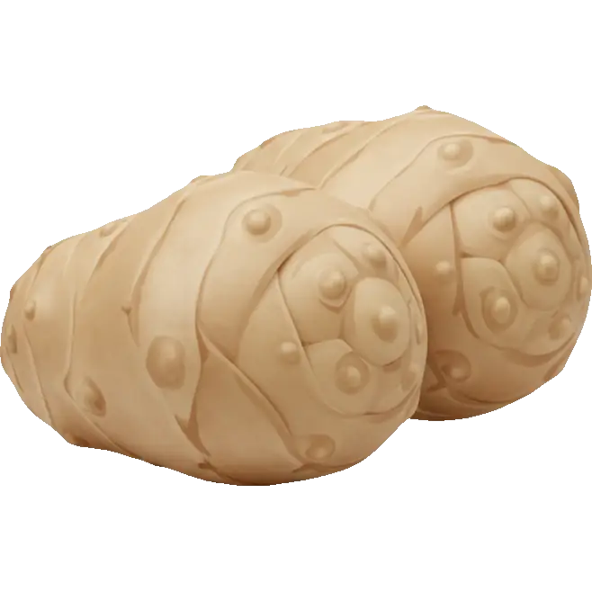 jerusalem artichoke