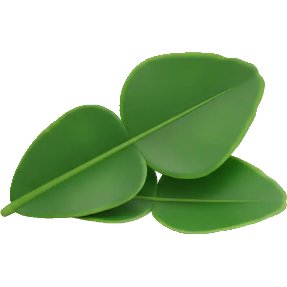 kaffir lime leaves