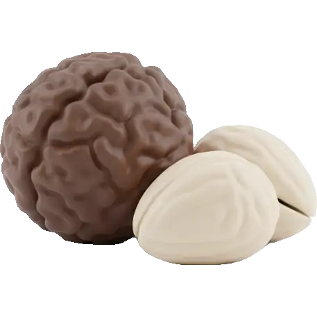 kukui nuts
