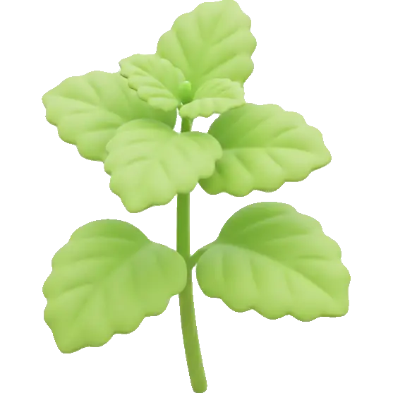 lemon balm