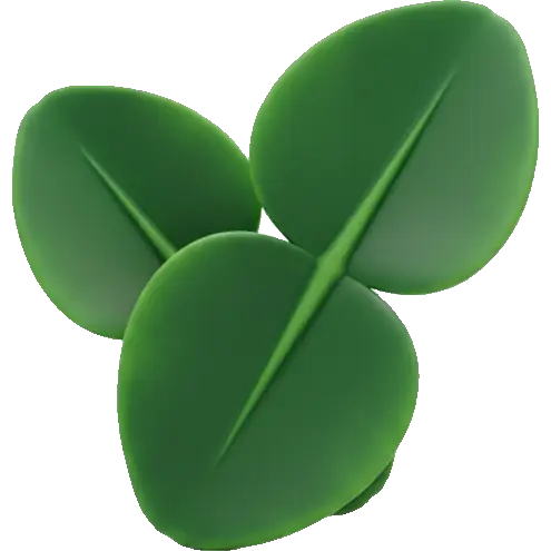 lime leaves