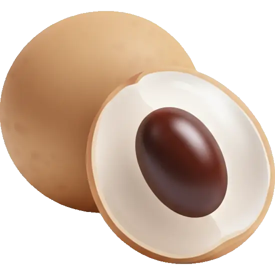 longan