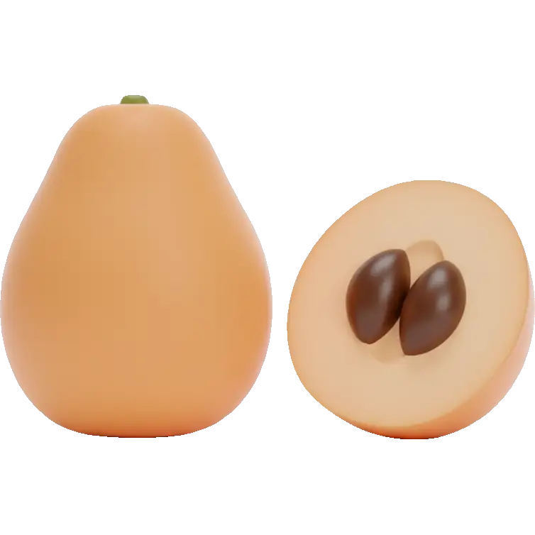 loquat