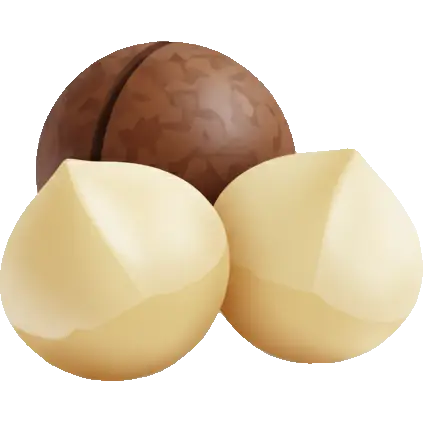 macadamia nuts