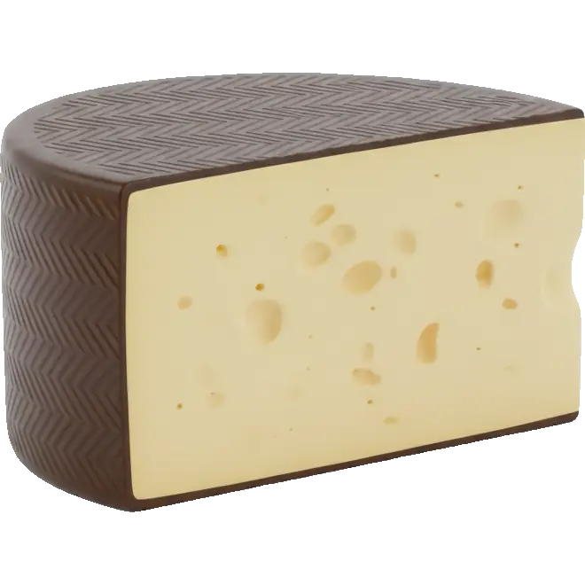 manchego