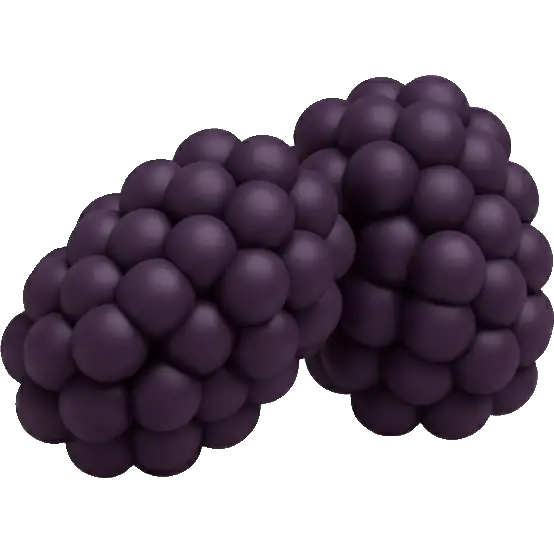 marionberry