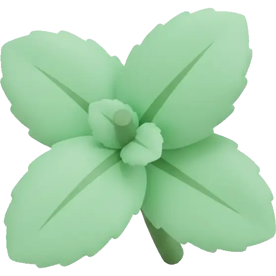 mint leaves