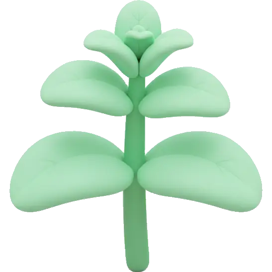 mint